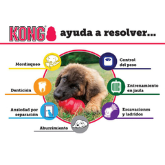 KONG EXTREME en internet
