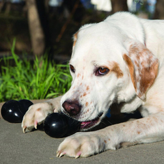 KONG GOODIE BONE EXTREME - comprar online
