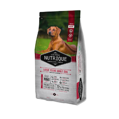 NUTRIQUE LARGE YOUNG ADULT - comprar online