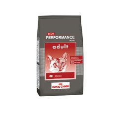 CLUB PERFORMANCE GATO ADULTO
