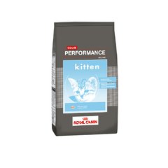 CLUB PERFORMANCE KITTEN