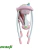 Columpio Rosa Premium Baby - TATETI