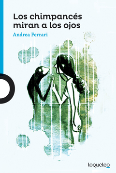 Los chimpancés miran a los ojos - Andrea Ferrari