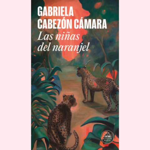 Las niñas del naranjel - Gabriela Cabezón Cámara