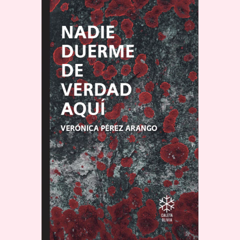 Nadie duerme de verdad aquí - Veronica Pérez Arango