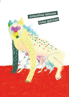 Pequeñas labores - Rivka Galchen