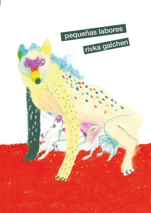 Pequeñas labores - Rivka Galchen