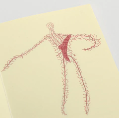 Qué pequeña es mi cabeza - Catalina Kobelt - Grendelia