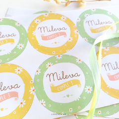 PLANCHA DE STICKERS - TEMÁTICA A ELECCIÓN - Lorenza Diseño