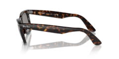 Ray Ban Wayfarer - Eu Amo Óculos ®