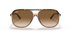 Ray Ban Bill na internet
