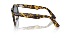 Ray Ban Wayfarer Way - Eu Amo Óculos ®