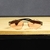 Óculos de Sol Gabriela Rosa - RV Glasses - Atacado de Óculos