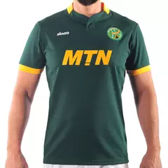 Camiseta Imago Springboks (MTN)