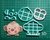 Cortante Selva Animal Mono mod6 collage 8cm - comprar online