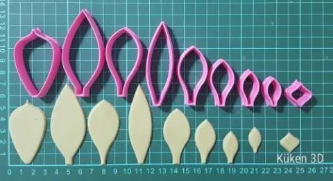 Set Cortantes Suculentas Flores Planta