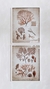 Cuadro Coral Rosa - 50x60 -