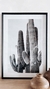 Cuadro Cactus grandes - comprar online