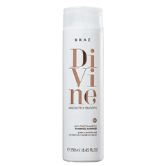 SHAMPOO ANTIFRIZZ DIVINE BRAÉ 250ML