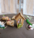 220429 - Kit leveza Doce Lar - comprar online