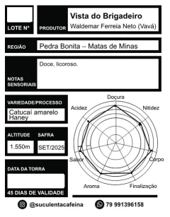 Café do Vavá na internet