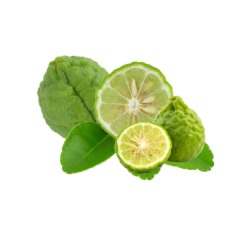 Aceite Esencial de Bergamota Aromaterapia - comprar online
