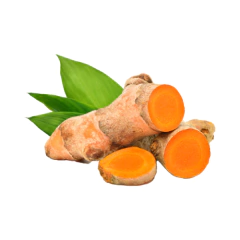 Oleo Extracto De Cùrcuma - comprar online