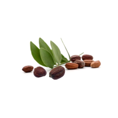 Manteca de Arnica - (copia) - buy online