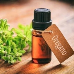 Oregano Essential Oil - buy online