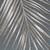 Palm Peltre - comprar online