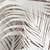 Palm grey - comprar online