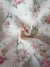 Pana Petit Lapin fondo rosa - comprar online