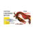 CARTUCHO TCM MOTION - BUCHA - CAIXA 20 UNIDADES