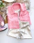 Conjunto de colete rosa boiadeira personalizado, short e cropped prata metalizdo na internet