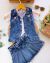Conjunto de short saia plissada e colete jeans Aurora
