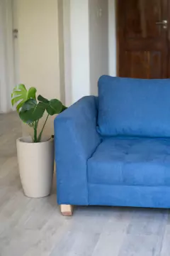 Sillon Tandil 2.2 mt + camastro movil en internet