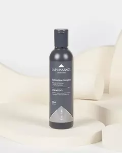 Shampoo Hydrashine Hidratación y Brillo Extremo 300ml La Puissance en internet