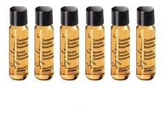 Ampolla X6 Concentrado Keratínico Restaurador 10ml System 3
