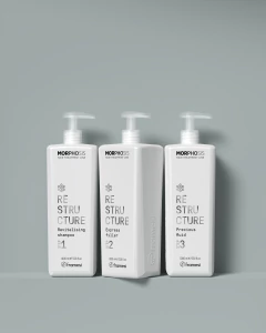 Kit Restructure Regeneracion Del Cabello En 30 Minutos - Framesi en internet