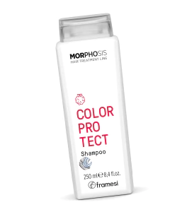 Shampoo Color Protect 250ml - Framesi - comprar online