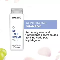 Framesi Shampoo Reinforcing Fortalecedor X 250 Ml - Framesi en internet