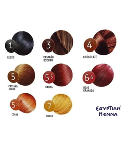 Tintura En Polvo Egyptian Henna Al Agua Tono Castaño Oscuro 500gr - comprar online
