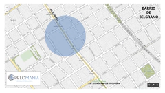 SHAMPOO REPARATIVE SEMI DI LINO 250ML - ALFAPARF en internet