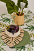 Posafuentes Philodendron