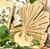 Posafuente Ginkgo Olmo - tienda online
