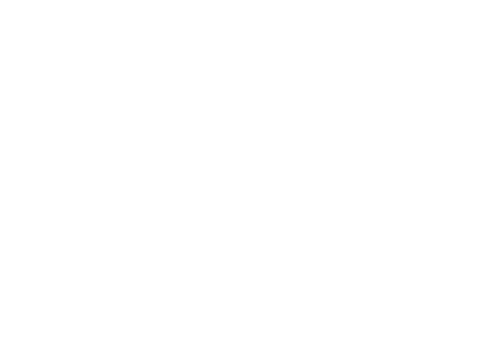 Marca 1 de clvsports