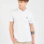 Chomba Jersey Hombre Oxford Polo Club Manga Corta (DWAYNE)