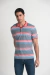 Chomba Hombre Oxford Polo Club Spring Premium (SPRING) - Urbano Salto