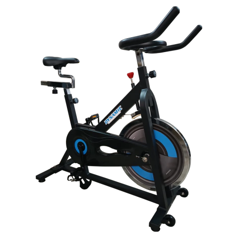 Bici Spinning Dynamic S206 disco 13kg