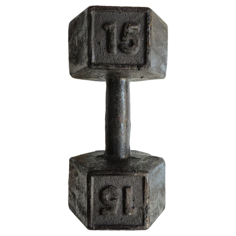 Mancuerna fundicion x 15kg - comprar online